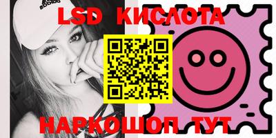 крисы Берёзовский