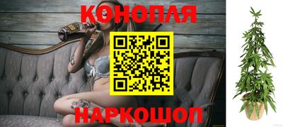 крисы Берёзовский