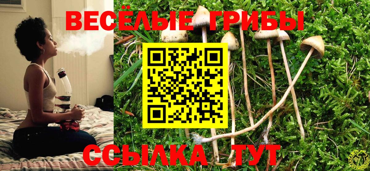 Ижевск  Галлюциногенные грибы ЛСД  Вход с VPN 