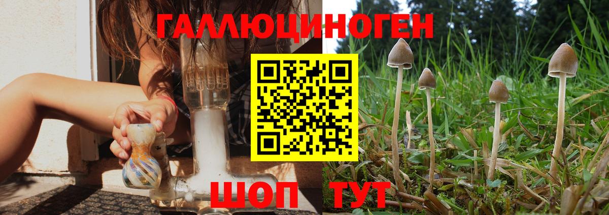 Псилоцибиновые грибы Cubensis Ижевск